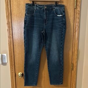 NWOT American Eagle Hi-Rise Skinny Jeans Sz 18